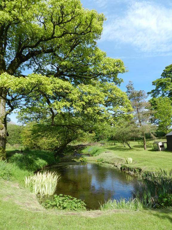 Rowrah Hall Bed & Breakfast Whitehaven Exteriör bild